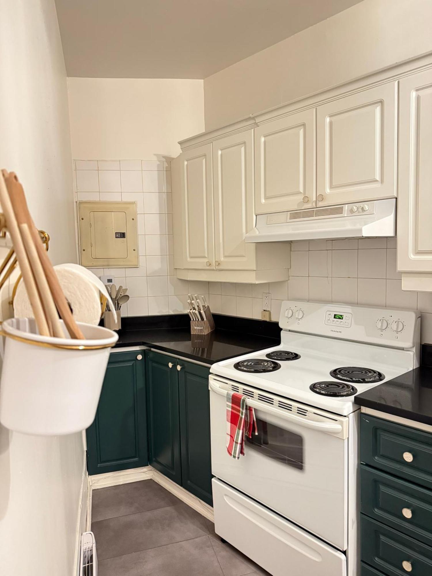 Authentic Spacious 1bdr In Downtown Appartement Montréal